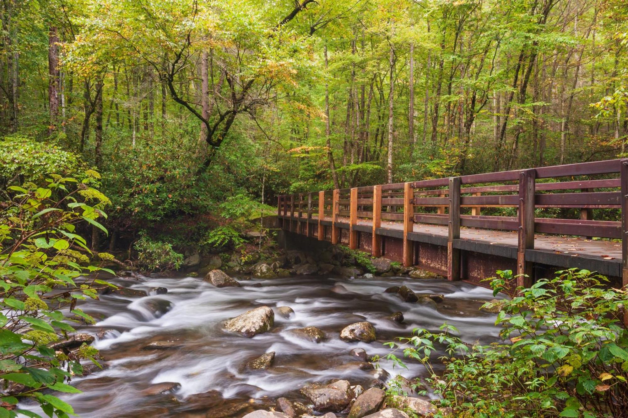 Magical Moments, Hot Tub, Wifi, 1089 Free Tickets Each Paid Day, Dollywood And More Гатлинбург Экстерьер фото